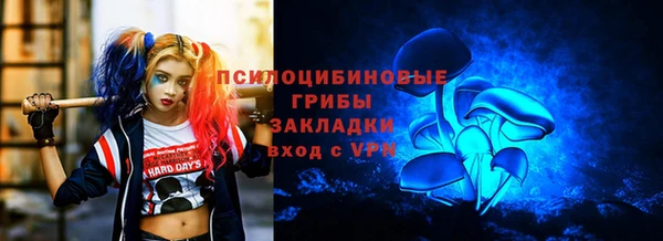 крисы Верея